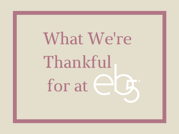 What We're Thankful for at eb5